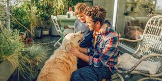 National pet day was founded in 2006 by pet & family lifestyle expert, animal welfare advocate colle. L13z1vh2f4f6em