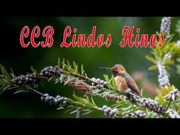 Check spelling or type a new query. Pin Em Hinos