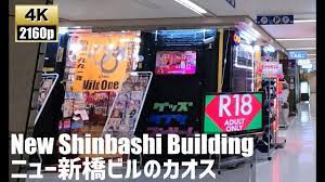 ニュー新橋ビルのカオスを徘徊する just walk chaos of the new shimbashi bldg 4k60fps 東京散歩 2020 9 osaka broadway shows building