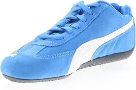 Image result for State Blue 2002 Puma