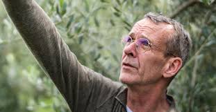 Deze Belg maakt een van de beste olijfolies ter wereld