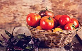 510+ Caracol Y Violeta En La Hierba Fotografías de stock, fotos e imágenes  libres de derechos