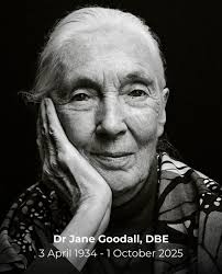 Rest in Paradise Dr. Jane Goodall 💚