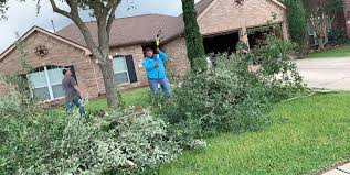 Leave watering instructions, mowing tips, and any information about additional services you may need for. Moreno S Mowing Home Facebook