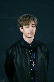 97 31 تقرير عن فرقة stray kids معلومات عن الفرقه الفرقه تابعه لشركه jyp عدد اعضاء الفرقه تسعه 9 اعضاء stray kids chan kids groups kids