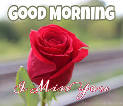 Maybe you would like to learn more about one of these? Amazing Good Morning I Miss You Images Pictures Hd 2021 Best Status Pics