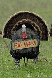 Thanksgiving Humor Eat Ham Turkey Thanksgiving Jokes Holidays Thanksgiving Funny Thanksgiving