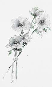 Loose White Anemones In Watercolor And Pencil Throw Pillow By Camilla Damsbo Art Cover 16 X 16 With Pill Flower Sketches Watercolor Flowers White Anemone