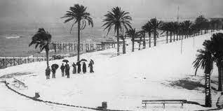 Høy omsetning gjør at vi har gode avtaler med. Vinterens Forste Sno Har Kommet I Alicante Si Spania I Dag