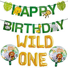 4.4 out of 5 stars 33. Wild One Safari Birthday Decorations First Jungle Theme Set For A Special Little Baby Boy Bday Educational Toys Planet