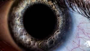 Pupil meaning, definition, what is pupil: Crstoday Case Studies In Pupil Dilation