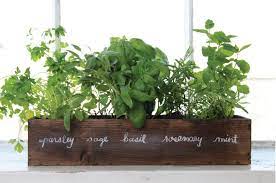How To Grow A Windowsill Herb Garden Window Herb Garden Diy Herb Garden Windowsill Herb Garden