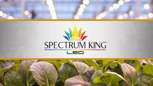 Highest quality led grow lights. Led Grow Lights Full Spectrum For Commercial Home Spectrum King