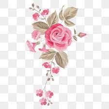 Akvarel Rastushevka Rozovye Cvety Okrashennyj Material Lepestok Png I Psd Fajl Png Dlya Besplatnoj Zagruzki Watercolor Flower Illustration Watercolor Flower Background Flower Illustration