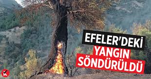 Aydın'ın efeler ilçesinde öğleden sonra başlayan ve rüzgarın etkisiyle hızla büyüen yangına çok sayıda ekiple müdahale ediliyor. Efeler Deki Yangin Sonduruldu