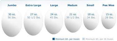 So please let us know , how much does your average. Egg Sizes Aeb Information Eggs Large Egg Egg Weight