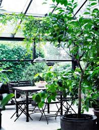 Une Cabane Sur Fond De Verdure Jardin D Hiver Terrasse Jardin Mobilier Jardin