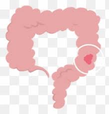 Foi fundado em 5 de maio de 1905 e tem sua sede na cidade de santa fé. Colon Santafe Copasudamericana Sudamericana Superliga Escudo Colon De Santa Fe Emoji Free Transparent Emoji Emojipng Com