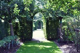 le jardin medieval du prieure d orsan flore de senlisse jardin medieval jardins flore