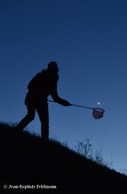 Et puis avec l'homme, on peut désormais voir des avions qui laissent des trainées blanches dans le ciel bleu. Observer Le Ciel Special Debutants