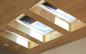 Sustainable Living Through Skylights