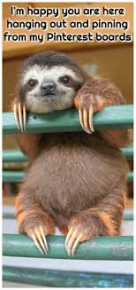 I M Happy You Are Hanging Out With Me Funny Animal Pictures Funny Animals Friends Funny