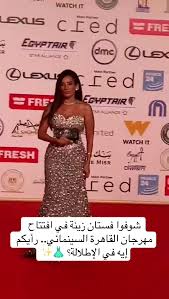 ‫فستان زينة في افتتاح مهرجان القاهرة السينمائي | TikTok‬‎