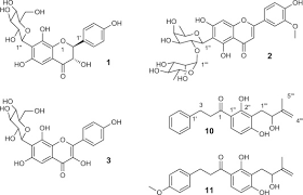 Image result for Eriosema laurentii