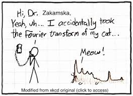 cat_fourier.jpg