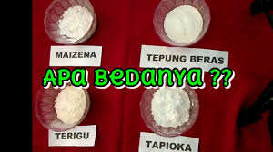 Ada yang disebut tepung semolina dan. Perbedaan Tepung Kanji Tepung Terigu Tepung Beras Tepung Maizena Youtube