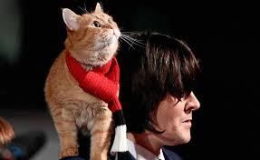 Filmstjernekatten Bob er død