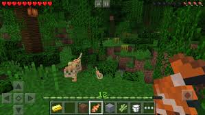 Blocklauncher is a custom minecraft pe launcher that wraps around minecraft pe and provides loading of patches, and (in the pro version) texture packs, and server ips. Download Minecraft 1 16 220 52 Apk For Android
