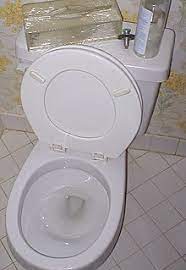 Maybe you would like to learn more about one of these? Toilet Related Injuries And Deaths Wikipedia