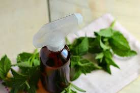 Now you know how to make essential oil spray without alcohol. 10 Homemade Air Freshener Recipes The Prairie Homestead