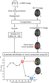 Tumor Tissue Detection Using Blood Oxygen Level Dependent