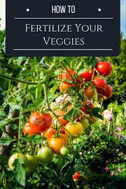 Nutrients are carried to the root system through the soil where the biggest benefit is the speed at which nutrients reach the roots. Tips On Harvesting Garden Vegetables Kellogg Garden Organics