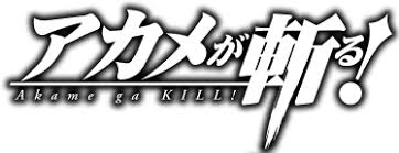 1.5 that the series is heavily inspired by the. Akame Ga Kill Wikipedia