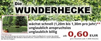 Ein Dreiteiliger Bannerbild Auf Dem Ersten Ein Hecke Hintergrund Wunderhecke Aufschrift Auf Dem Zweite Hecke Pflanzen Immergrune Hecke Immergrune Straucher