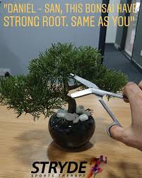 Stryde Sports Therapy Ah Only Root Karate Come From Miyagi Just Like Bonsai Choose Own Way Grow Because Root Strong You Choose Own Way Do Karate Same Reason Mr Miyagi