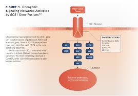 Image result for ROS1 Inhibitor