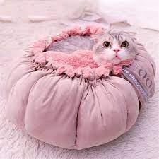 cat cute pink bed warm puppy dog bed mat autumn winter lovely house for cats in 2021 puppy dog beds dog bed mat cat bed