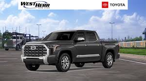 Image result for Tan 2022 Fleet