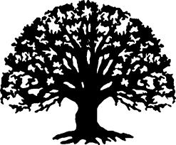 We did not find results for: Black Tree Silhouette Png Transparent Image Png Arts