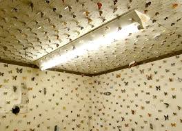 Maybe you would like to learn more about one of these? Eiji Watanabe Cuts Out Paper Butterflies And Gives Them Wings