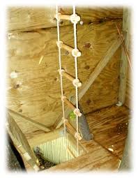 Tree houses provide entertainment and a place for kids and even adults to get away and have time for themselves. Treehouse Rope Ladder Tree House Tree House Plans Cool Tree Houses