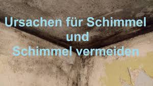 Schimmelbildung kann viele ursachen haben. Schimmel In Der Wohnung Ursachen Fur Schimmel Und Schimmel Vermeiden Schimmelpilze Youtube