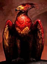 Real phoenix bird phoenix art phoenix rising heian era heian period japanese phoenix. Fawkes Harry Potter Wiki Fandom
