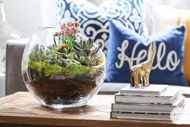 Shop with afterpay on eligible items. Succulent Garden Bowl