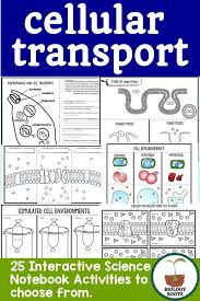Cell Transport Interactive Notebook Activities Distance Learning Cell Transport Biology Interactive Notebook Interactive Science Activities