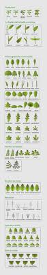 Description D Une Feuille Herbes Aromatiques Herbes De Cuisine Herbe
